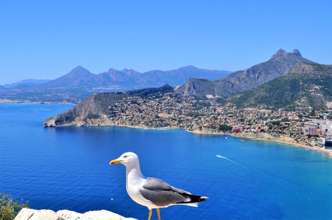 Maryvilla 0306 Calp Dış mekan fotoğraf